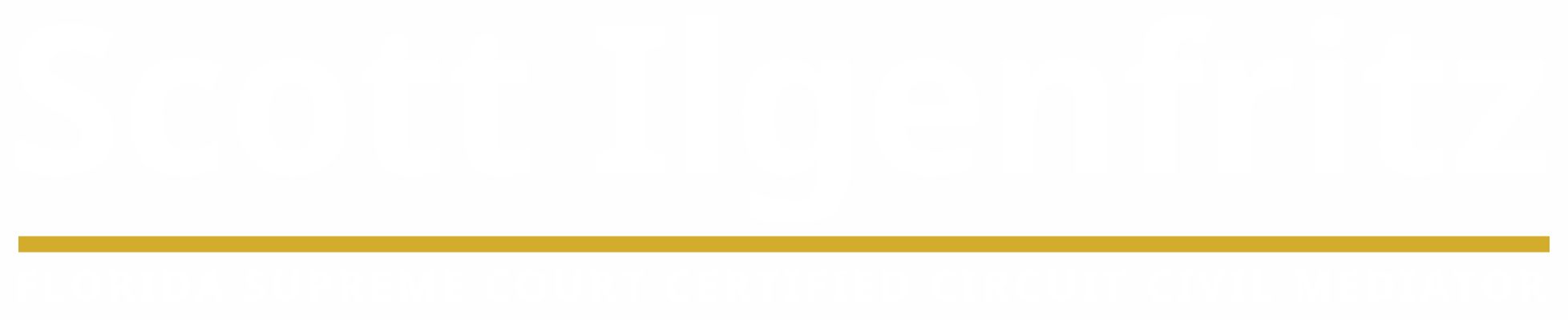 Scott Ilgenfritz Florida Supreme Court Certified Circuit Civil Mediator